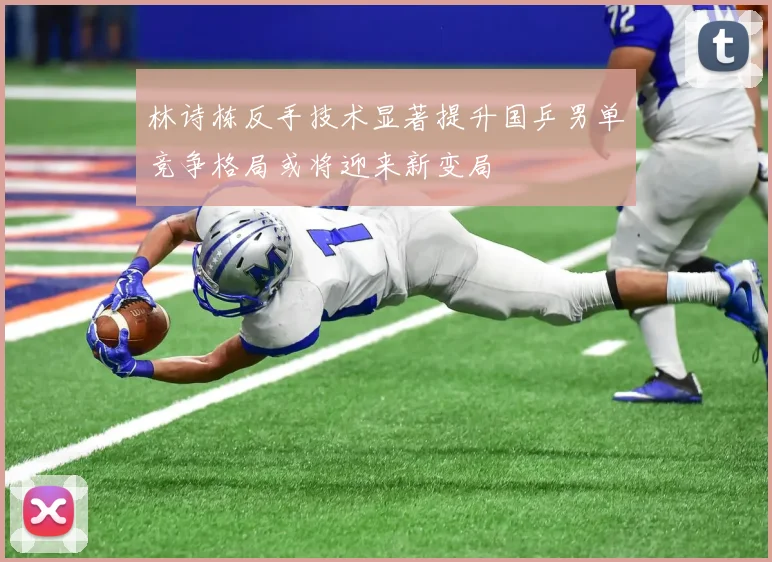 林诗栋反手技术显著提升国乒男单竞争格局或将迎来新变局